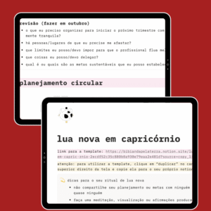 template de lua nova para organização profissional
