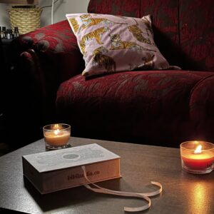 clube do tarô  + deck de tarô bibilandia (bookbox)