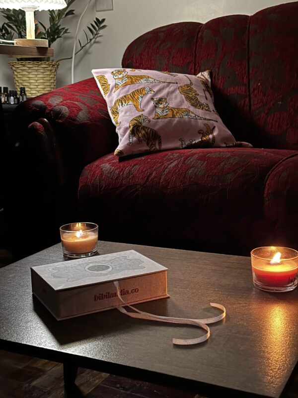 clube do tarô + deck de tarô bibilandia (bookbox)